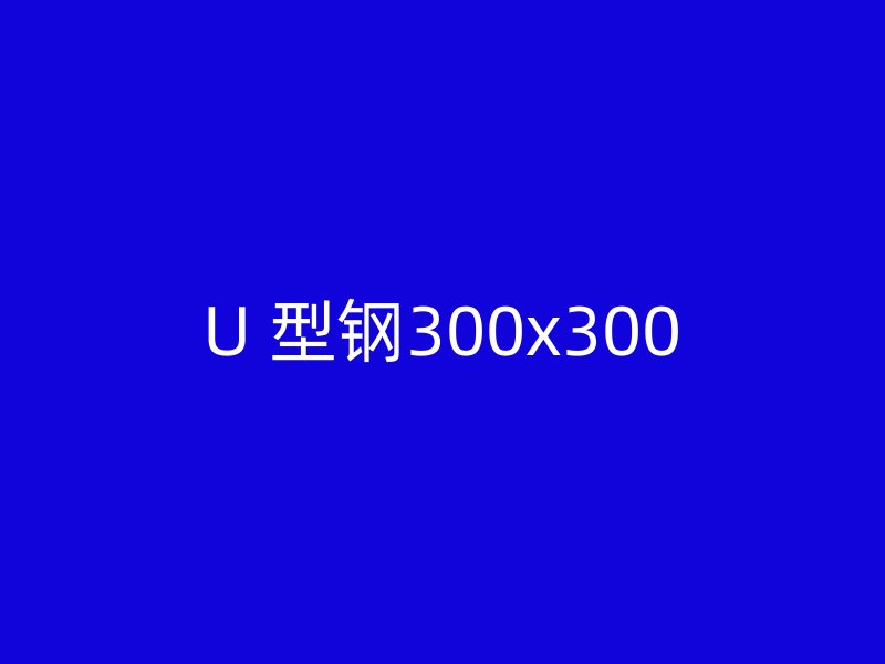 U 型鋼300x300